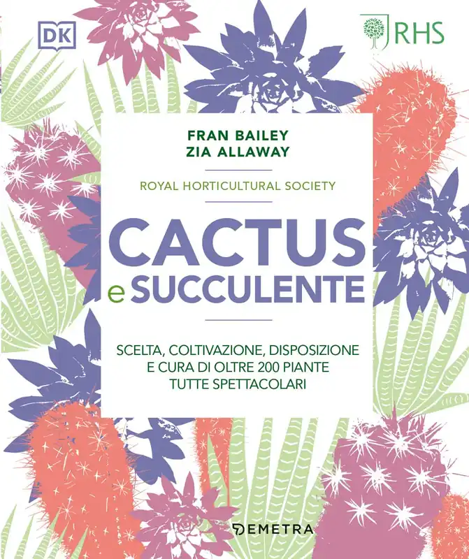 Prezzo Conveniente Cactus e succulente