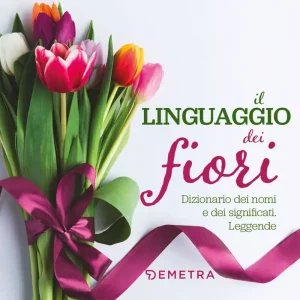 Il linguaggio dei fiori Dizionario dei nomi e dei significati. Leggende Occasione Imperdibile