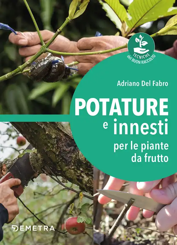 Potature e innesti per le piante da frutto Direttamente Dal Produttore