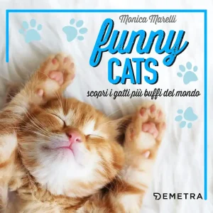 Offerta Speciale Funny cats scopri i gatti più buffi del mondo