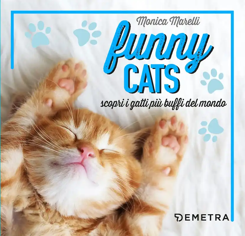 Offerta Speciale Funny cats scopri i gatti più buffi del mondo