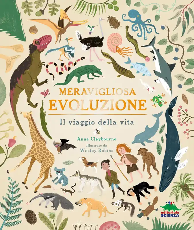 Occasione Imperdibile Meravigliosa evoluzione Il viaggio della vita
