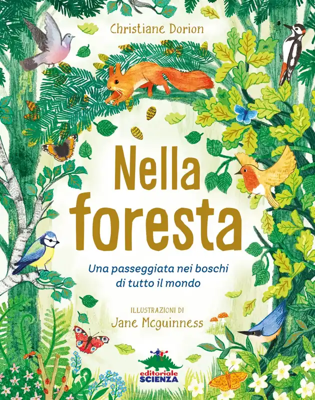 Reso Gratuito Nella foresta Una passeggiata tra i boschi di tutto il mondo