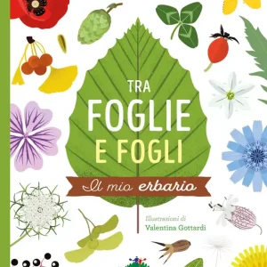 Tra foglie e fogli Il mio erbario Nuovo Arrivo