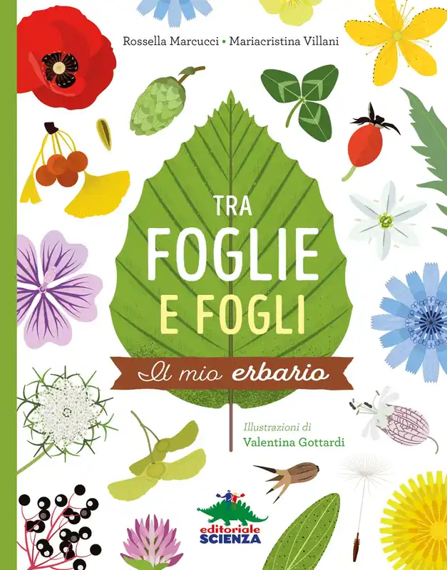 Tra foglie e fogli Il mio erbario Nuovo Arrivo