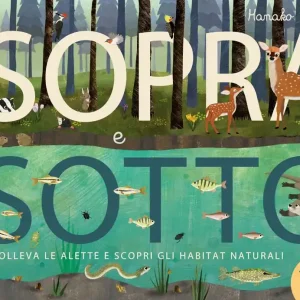 Più Venduto Sopra e sotto Solleva le alette e scopri gli habitat naturali