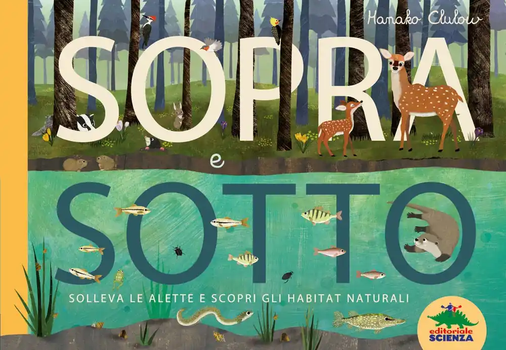 Più Venduto Sopra e sotto Solleva le alette e scopri gli habitat naturali