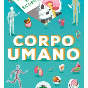 Miglior Prezzo Alza e scopri - Corpo umano