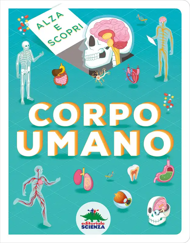 Miglior Prezzo Alza e scopri - Corpo umano