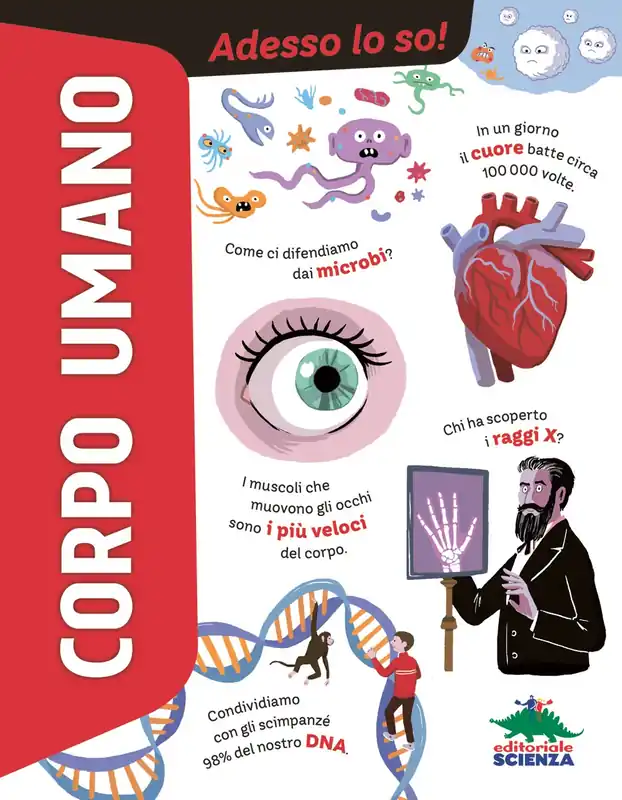 Più Venduto Corpo umano