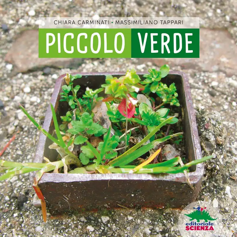 Offerta Speciale Piccolo verde