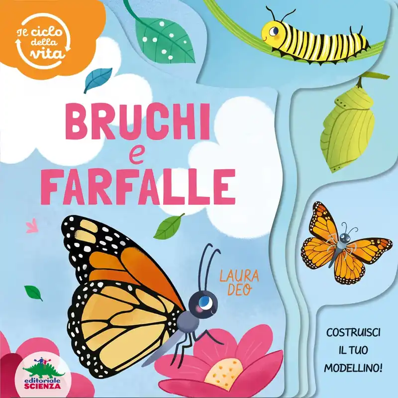 Bruchi e farfalle – Il ciclo della vita Direttamente Dal Produttore