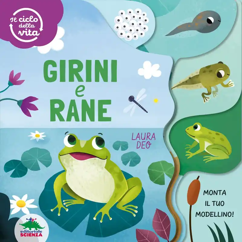 Girini e rane – Il ciclo della vita Ultimissimo Modello