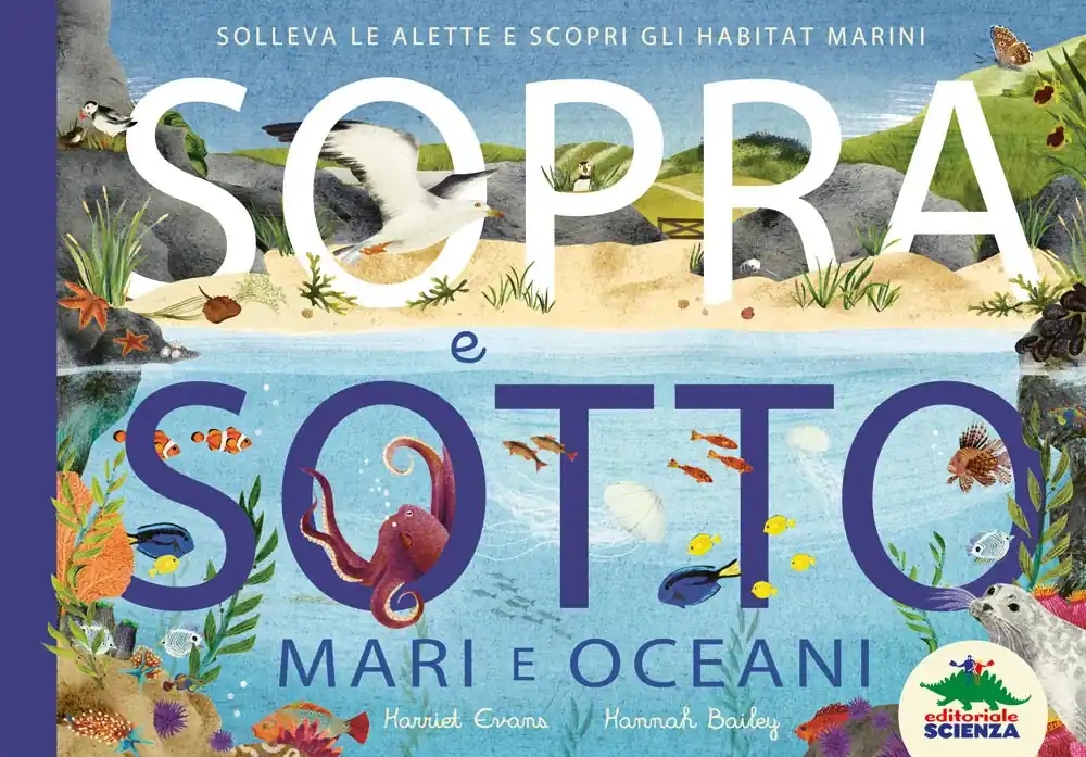 Sopra e sotto – Mari e oceani Solleva le alette e scopri gli habitat marini Scelto Dai Clienti