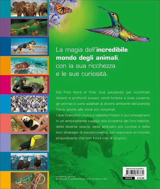 Promozione Nel mondo degli animali