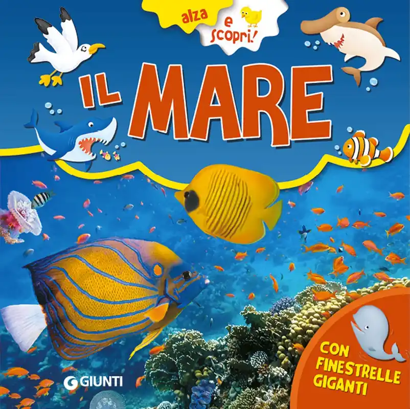 Novità Il Mare
