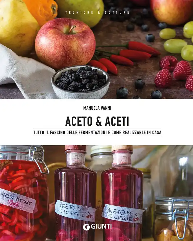 Spedizione Espresso Aceto & aceti Tutto il fascino delle fermentazioni e come realizzarle in casa