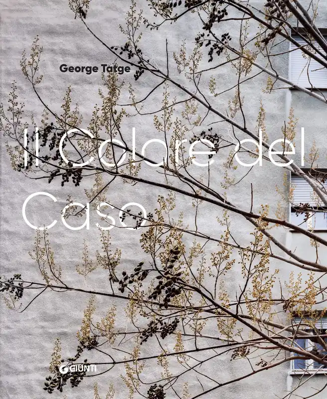 George Tatge. Il colore del caso Saldi