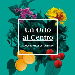 Compra Oggi Stesso Un Orto al Centro Educare alla sostenibilità
