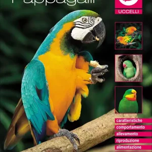 Pappagalli Subito Disponibile