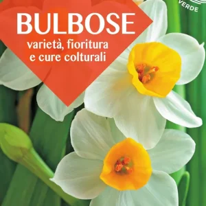 Bulbose Varietà, fioritura e cure colturali Direttamente Dal Produttore