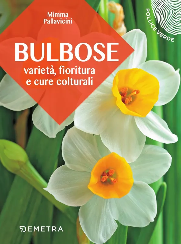 Bulbose Varietà, fioritura e cure colturali Direttamente Dal Produttore