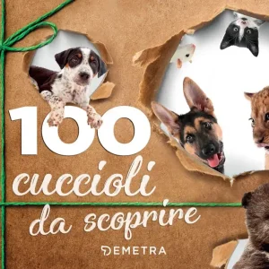Subito Disponibile 100 Cuccioli da scoprire