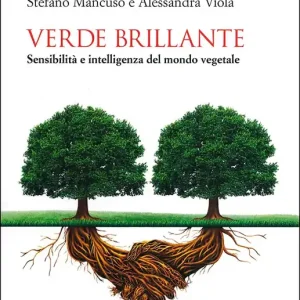 Verde brillante Sensibilità e intelligenza del mondo vegetale Offerta Limitata