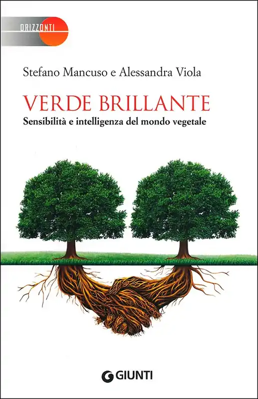 Verde brillante Sensibilità e intelligenza del mondo vegetale Offerta Limitata