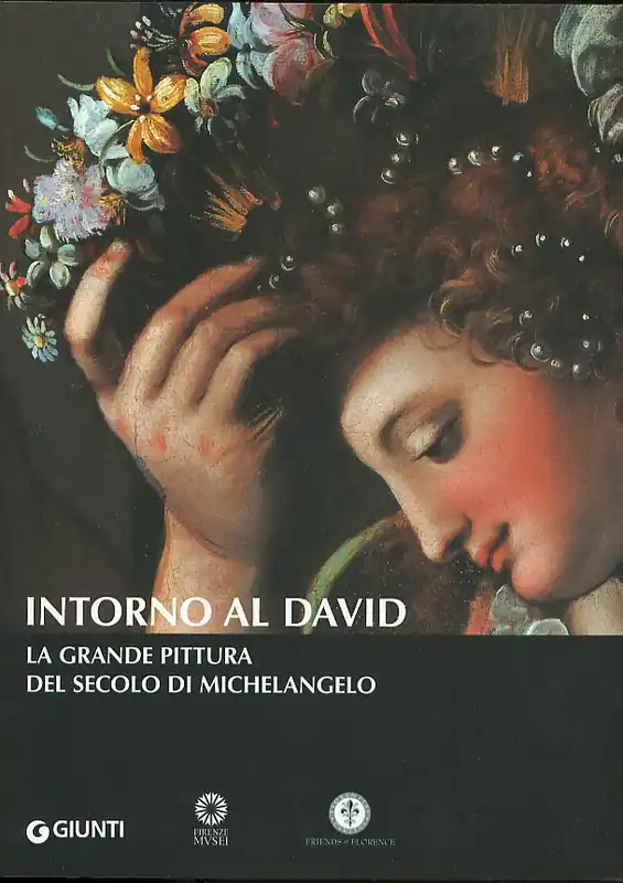Intorno al David La grande pittura del secolo di Michelangelo Soddisfatti O Rimborsati